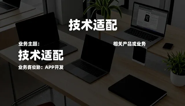 系统选型中常见问题的识别与应对策略
